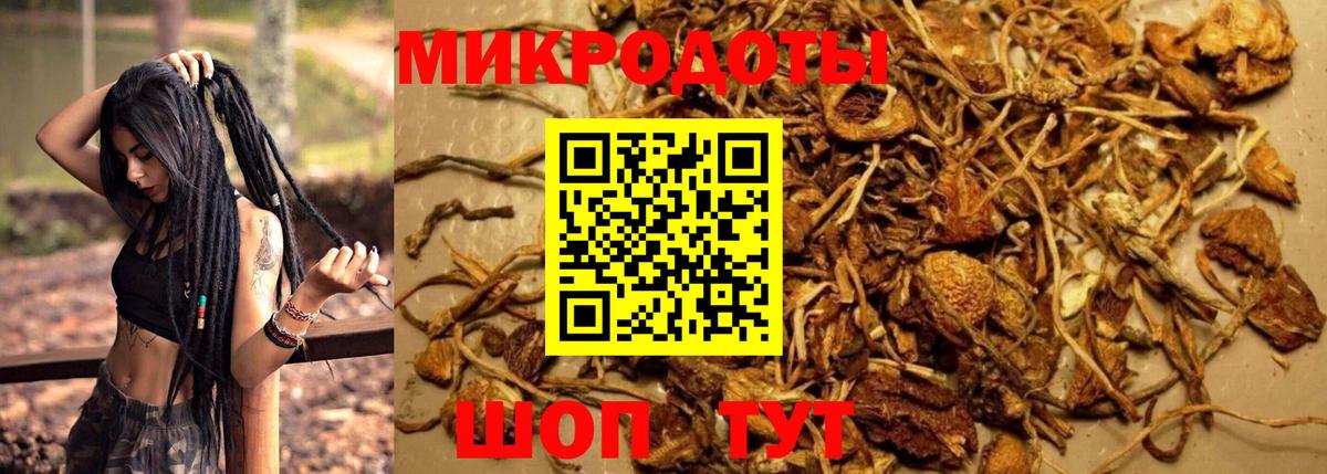 Псилоцибиновые грибы GOLDEN TEACHER Белореченск