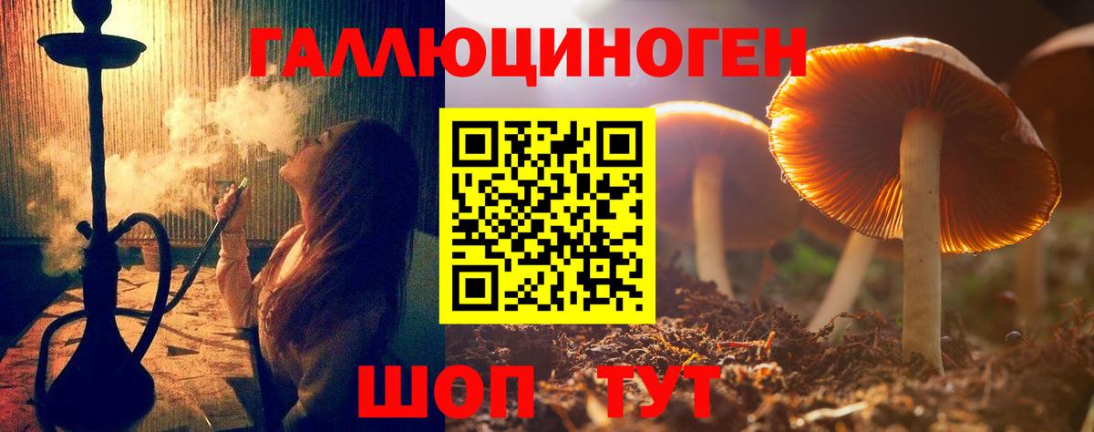 Белореченск  Галлюциногенные грибы MAGIC MUSHROOMS  где можно купить наркотик  Вход с VPN 